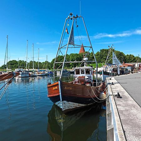 Daenische Ferienhaeuser Am Salzhaff Haus Kaept'N Nemo 因塞尔波埃尔 外观 照片